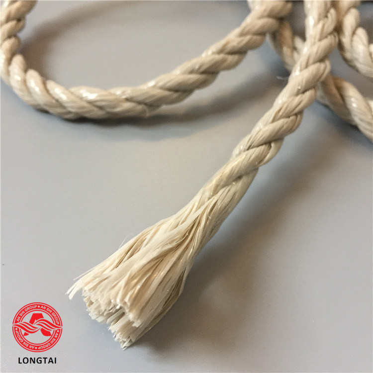 5mm Braided and Twisted PP Rope in Europen Market (SGS)