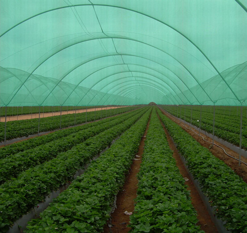 Garden Sun Shade Net HDPE Agricultural Shade Net