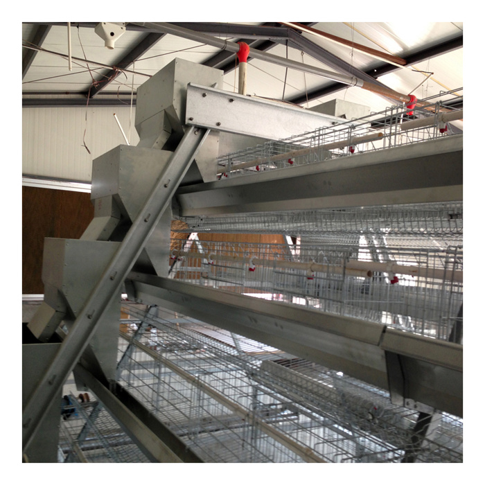 Layer Chicken Cage/ Chicken Breeding Cage Used for Poultry Farm
