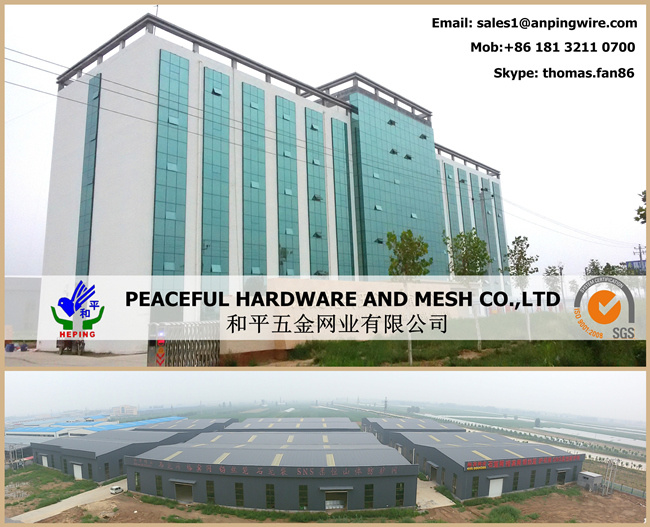 PVC Poultry Netting / Chicken Mesh / Hexagonal Wire Mesh