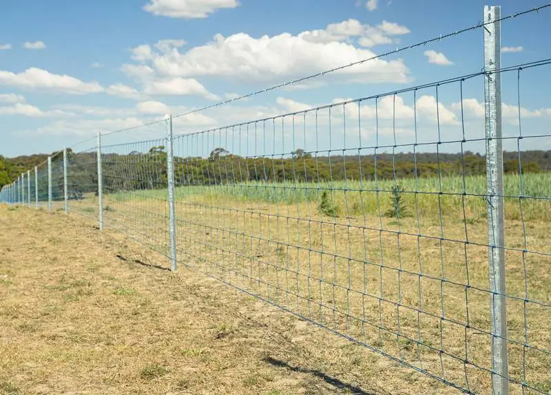 Galvanized Wire Mesh Fences for Cattle/Hinge Joint Cattle Fence/Fence for Cattle & Sheep