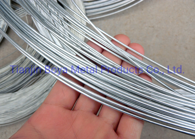 Iron Wire with Galvanized/Galvanized Wire/Electro Galvanized Wire