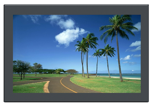 IPS Panel 10.1" LCD Open Frame Monitor with Metal Frame
