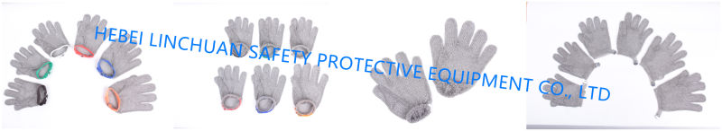Stainless Steel Ring Mesh Glove/ Metal Mesh Glove/ Chain Mail Glove