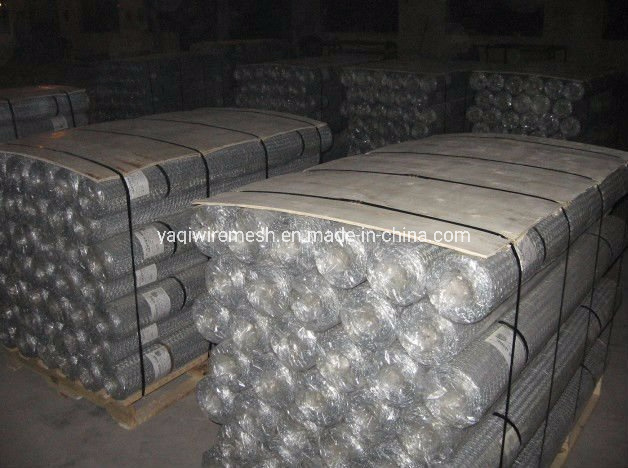 1.5 mm PVC Coated Hexagonal Wire Mesh for Chicken Coops