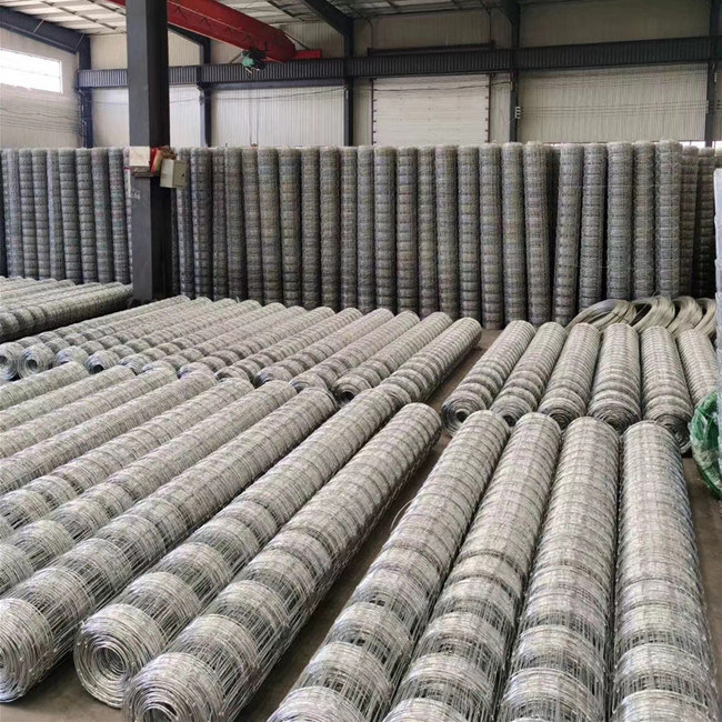 PVC coated /Reinforcing / Ribbed wire mesh weldede wire mesh