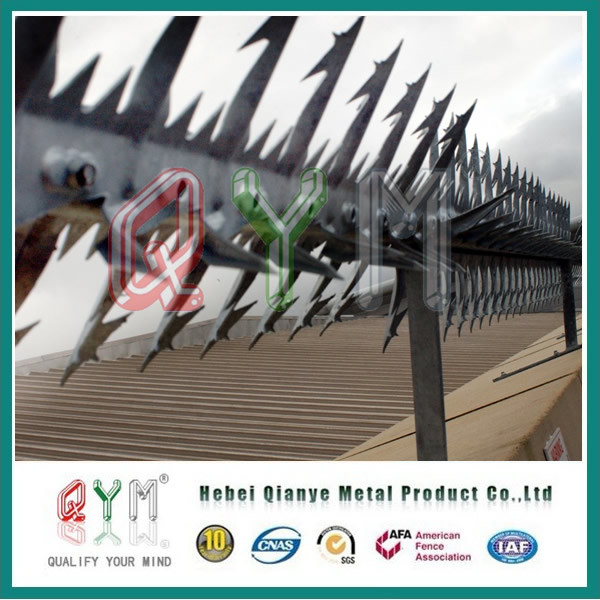 Galvanized Steel Spike/ Razor Barbed Wire Anti Climb Wall Spikes
