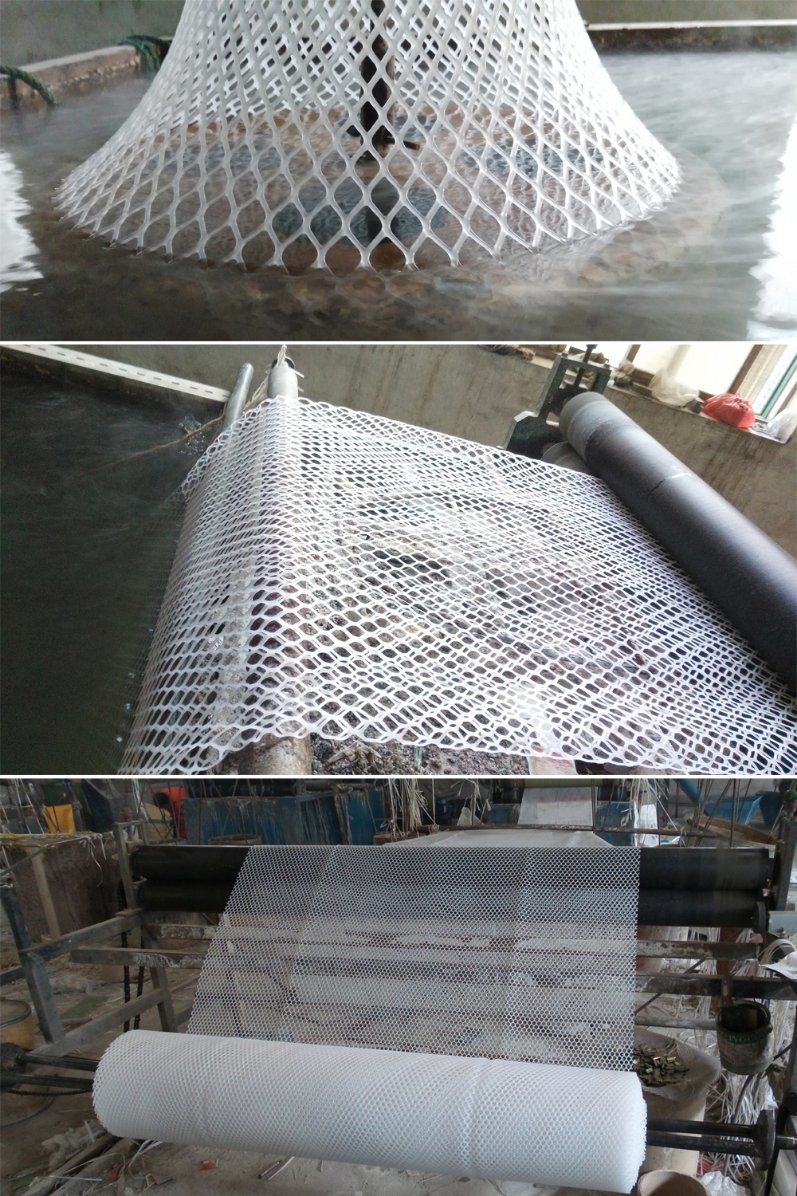 Plastic Flat Wire Mesh Anping Factory for Sale