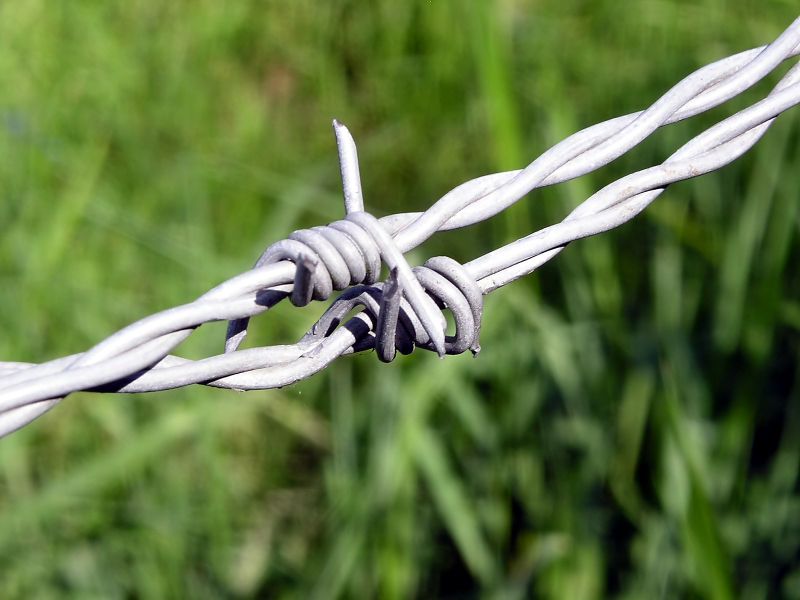 Hot Dipped Galvaznied Barbed Wire 7.5cm Barbed Wire Distance for Fence
