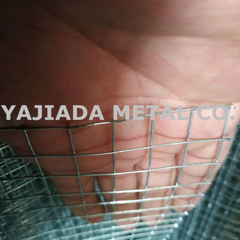 Galvanzied Wire Mesh Welded Wire Mesh, Wire Netting