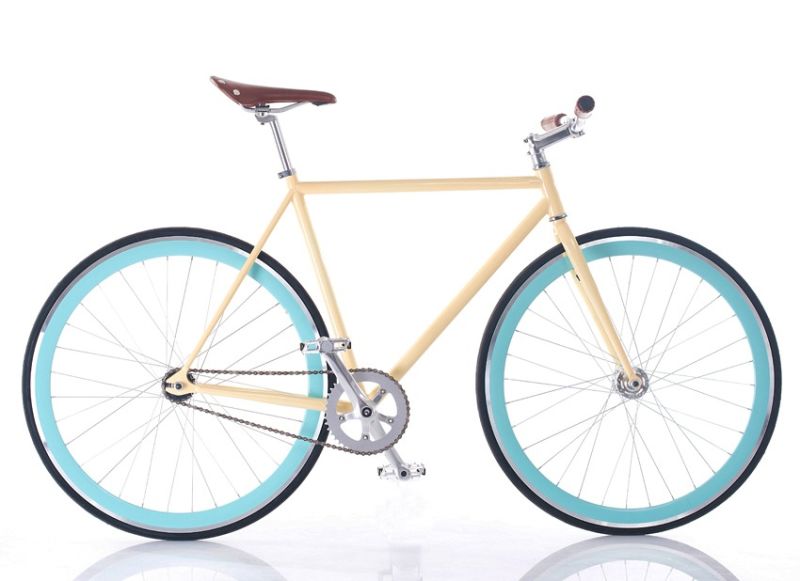 Customized Single Speed Fix Gear Bicycle