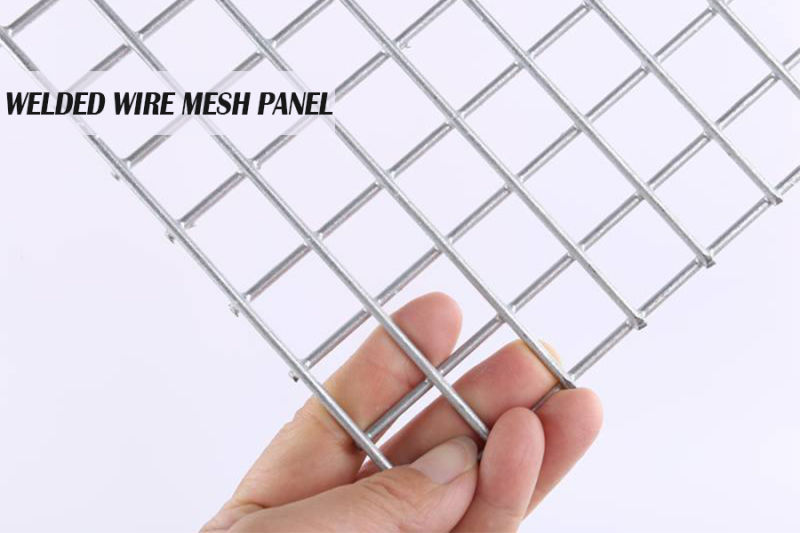 2X2 Galvanized Welded Welded Wire Mesh Fence Panels in 12 Gauge