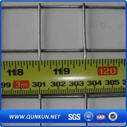 Professional of Welded Wire Mesh on Sale