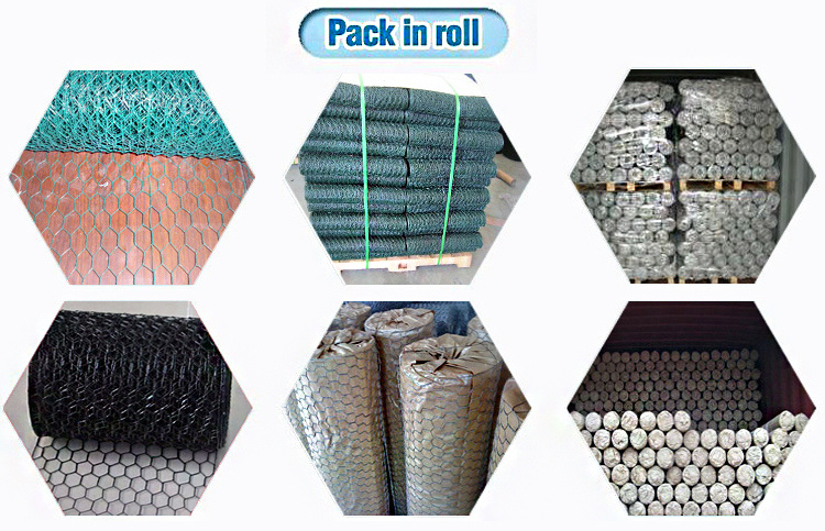 Hexagonal Metal Wire Mesh (XA-HM53)