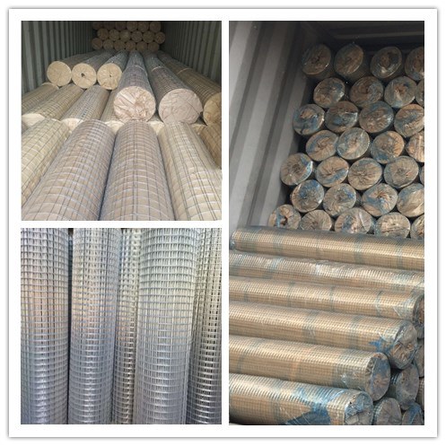 PVC Coated / Hot Dipped / Electro Galvanized / Stainless Steel Welded Wire Mesh, Welded Mesh Fence