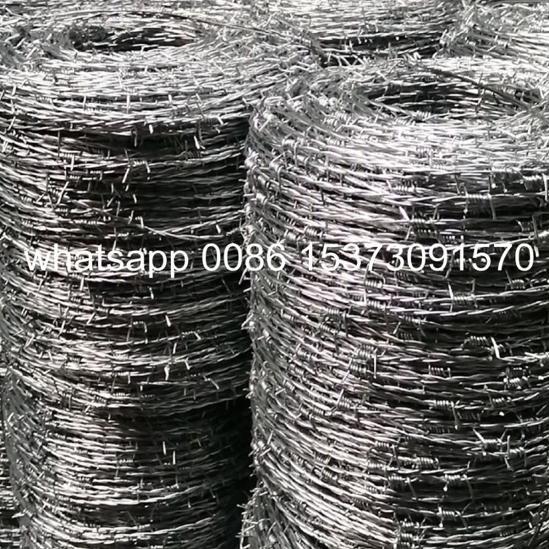 Bright Barbed Wire, Galvanized Barbed Wire to Africa