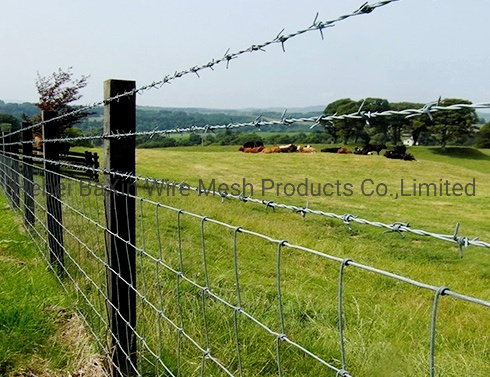 Long Galvanized Barbed Security Fence Wire Barbed Wire