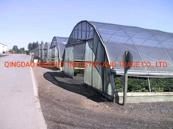 Round or Flat Wire Durable Sun Shade Net for Cultivation Shading Net