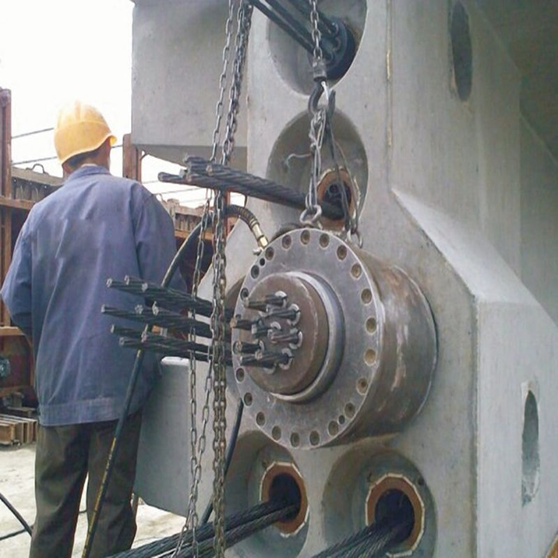 Hollow Concrete Slab Steel Wire Anchor