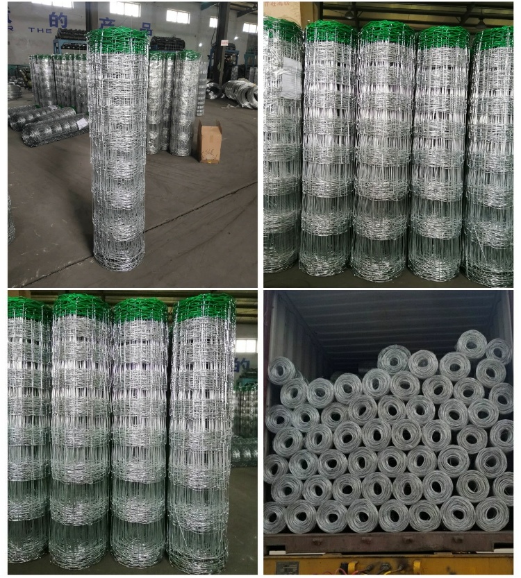 Hinge Joint Cattle Fence with Green Color PVC
