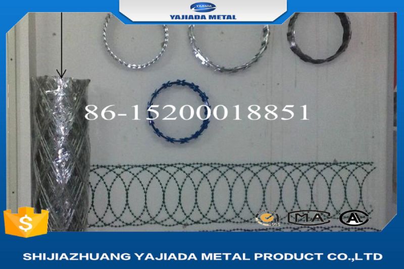 Hot Dipped Galvanized Razor Barbed Wire Cbt65