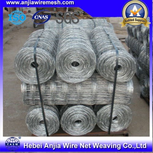 Knotted Wire Mesh Field Fence for Building Material
