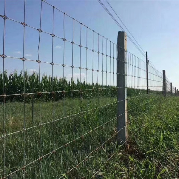 Galvanized High Tensile Wire mesh horse fence  Deer fence Or Goat fence Wire Mesh Farm Fence for the livestock