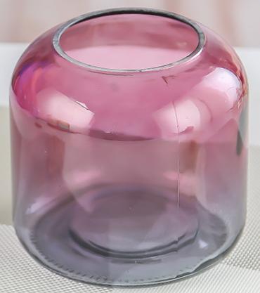 Double Glass Vase / Cut Mouth Glass Vase/Color Flower Glass Vase