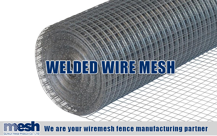 6 Gauge PVC Coated Welded Wire Mesh