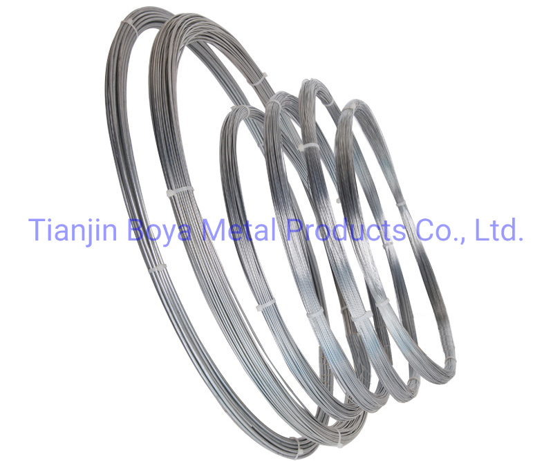 Iron Wire with Galvanized/Galvanized Wire/Electro Galvanized Wire