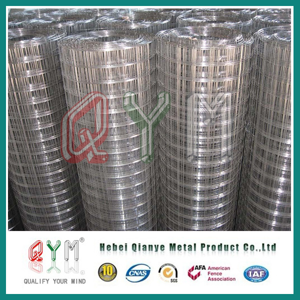 Galvanized Welded Wire Mesh Panel/ Square Iron Wire Mesh