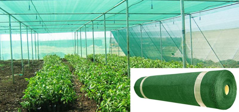 Sun Shade Net Mesh Plastic Agricultural Shade Net for Sale