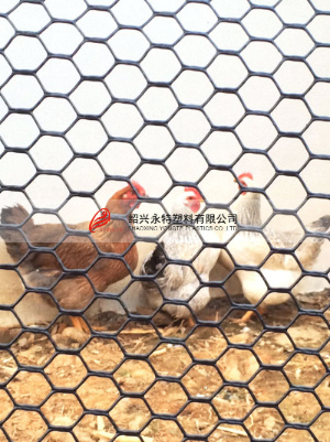 Fence Hardware Poultry Equipment Plastic Hexagonal Mesh Fence Net Chicken Netting
