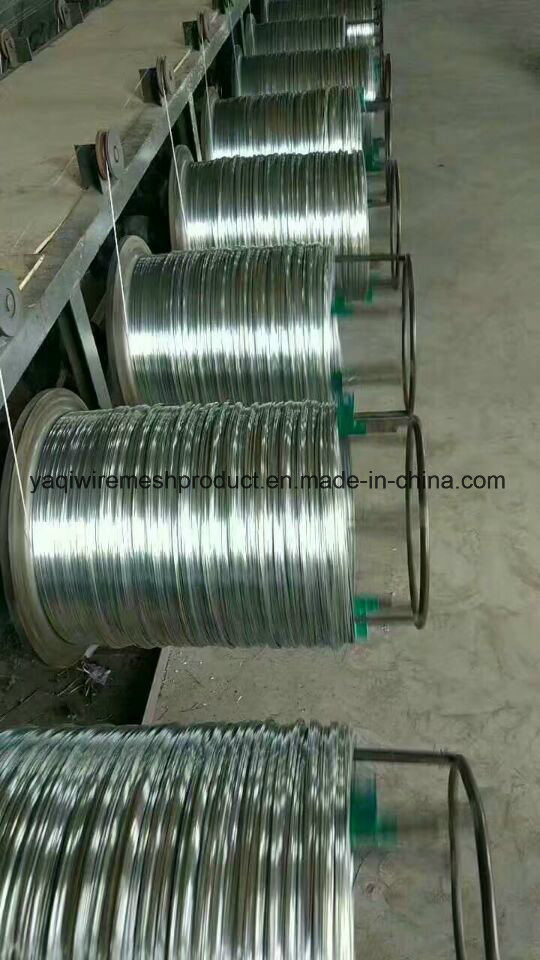 21 Bwg 22 Bwg Galvanized Iron Wire Binding Iron Wire Q195 Carbon Steel Wire for Construction