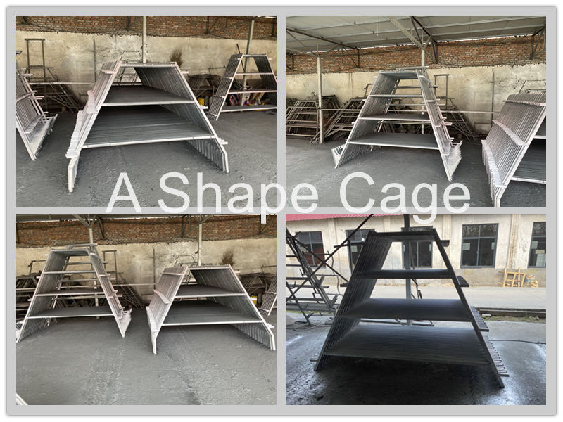 China Laying Hens Coop/Cage Poultry Equipment for Broiler Chicken