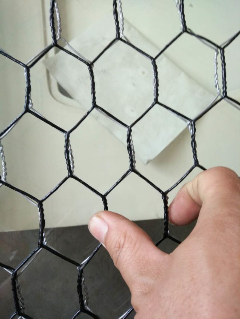 2inch PVC Coated/Galvanized Hexagonal Wire Netting Chicken Wire Mesh