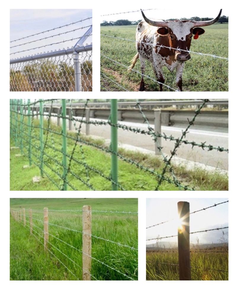 Long Galvanized Barbed Security Fence Wire Barbed Wire