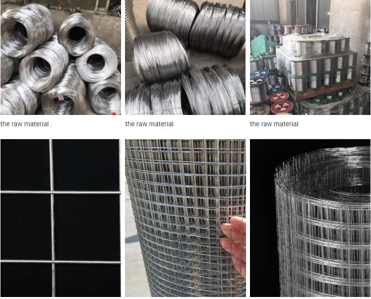 SS304 316 Stainless Steel Welded Wire Mesh Welded Netting