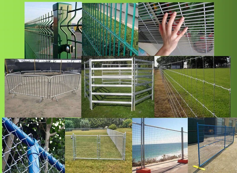 Double Loop Wire Mesh Fence/Metal Double Wire Garden Fence