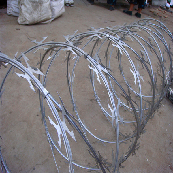 Flexible Concertina Razor Barbed Wire Fence Cbt-60