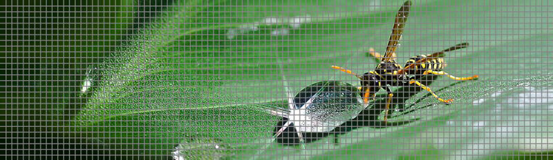 Top Quality Insect Proof Mesh Protection Netting/Anti Insect Net