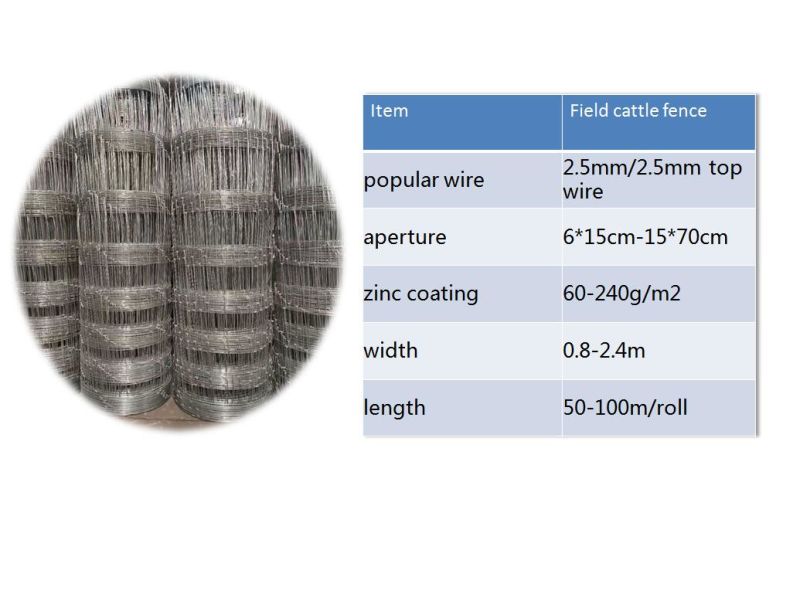 Galvanized Welded Wire Mesh Cattle Fence/Hinge Joint Knot Feild Fence