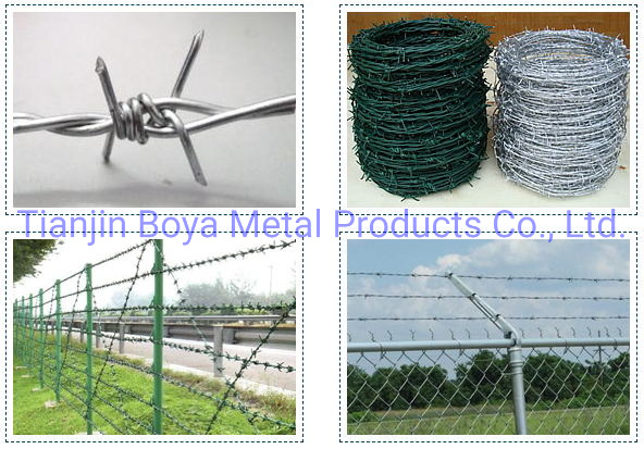 Galvanized Barbed Wire Bwg 12/14/16 Barbed Wire Staples