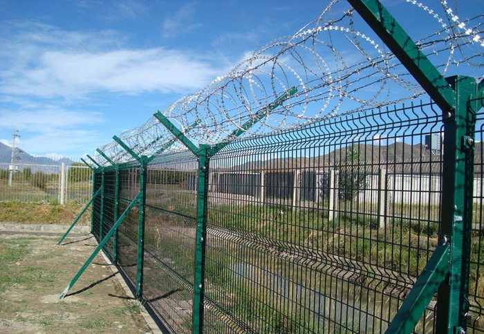 Dark Green Metal Fences Decorative Welded Wire Mesh Garden Fencing