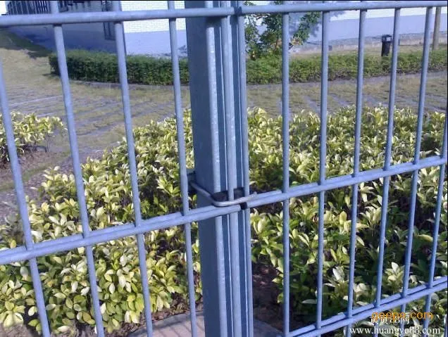 Galvanised and Powder Coated Twin-Wire Fence or Double Wire Panel Mesh Fencing From Dd Fence