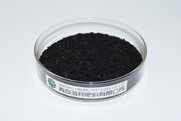 Biological Dried Seaweed Extract Flake Fertilizer for Plant