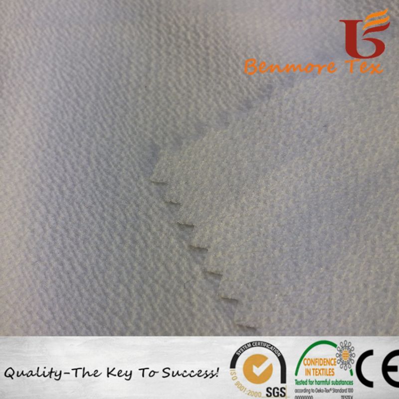 75D Chiffon Bubble Wrinkle/Garment Fabric/Fashion Fabric/Polyester Fabric