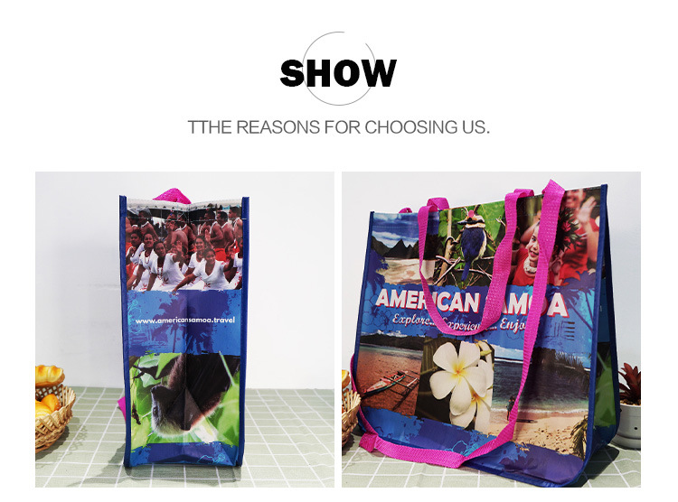 Promotional Custom Cheap Printed Image Recyclable PP Laminated Non Woven Shopping Bag
