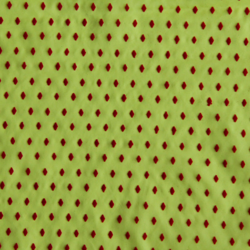 20d Nylon Fabric Downproof Fabric Jacket Fabric with Flocking