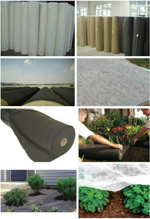 Anti-UV Nonwoven Fabric for Agriculture Cover, Fruit Protective Bag